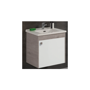 PARITE 55CM VANITY WITH DOOR WASHBASIN+OVA MONOBLOC WC/CISTERN WITH SOFT CLOSE SEAT COVER