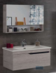 RIGO 85CM WALLHUNG CABINET+CERAMIC WASHBASIN+ MIRROR CABINET 65CM 